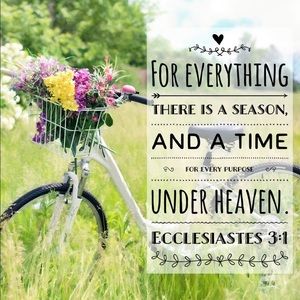 Betsey Johnson New York Green floral sundress